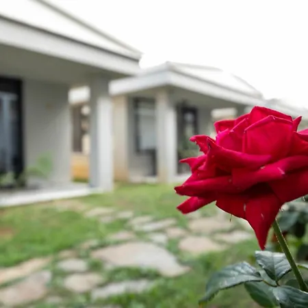 Deniz Istanbul 3* Yalikoy