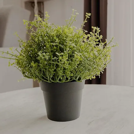 Deniz Istanbul Hotel Yalikoy